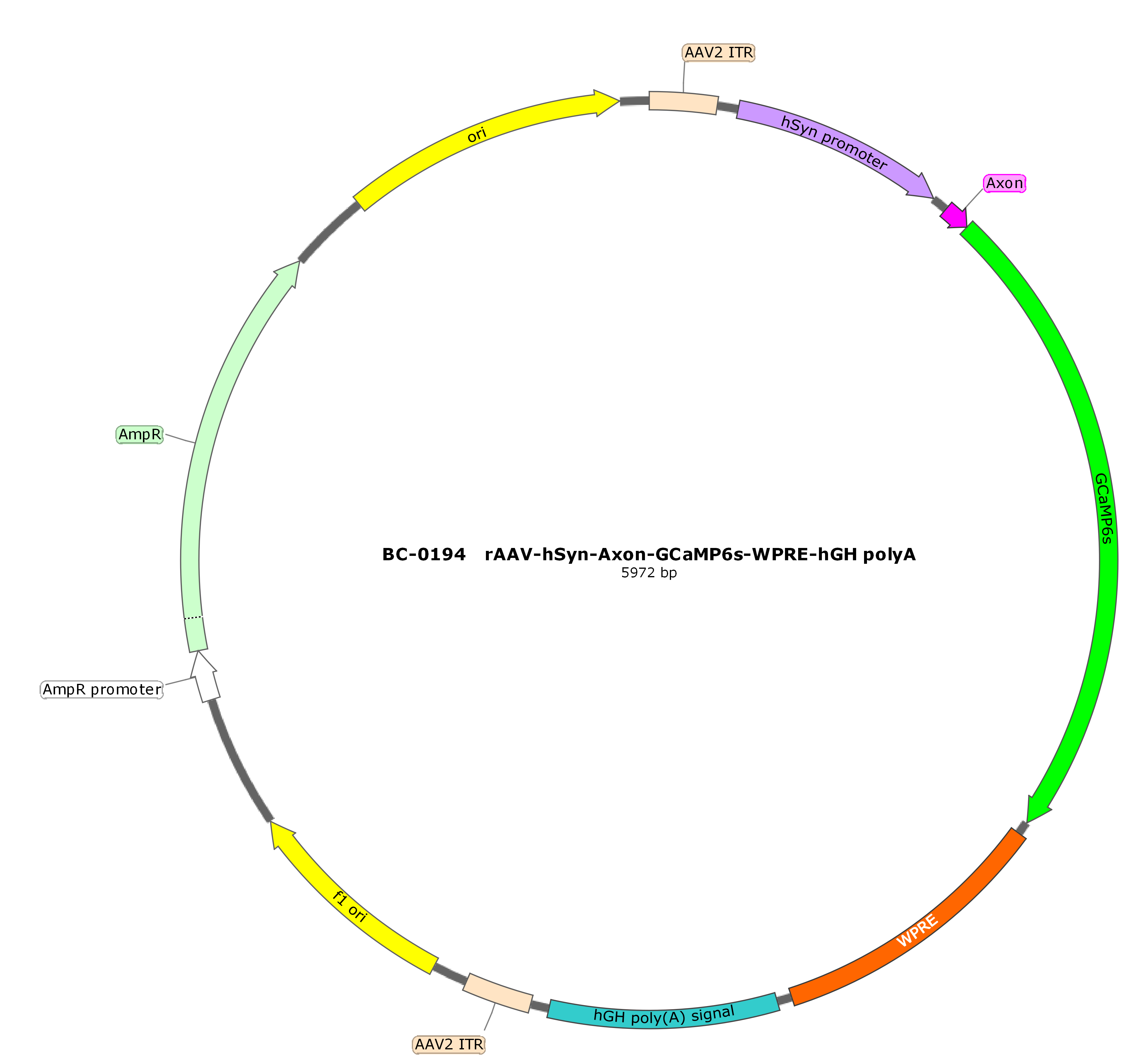 BC-0194  rAAV-hSyn-Axon-GCaMP6s （Testing Report attached） 