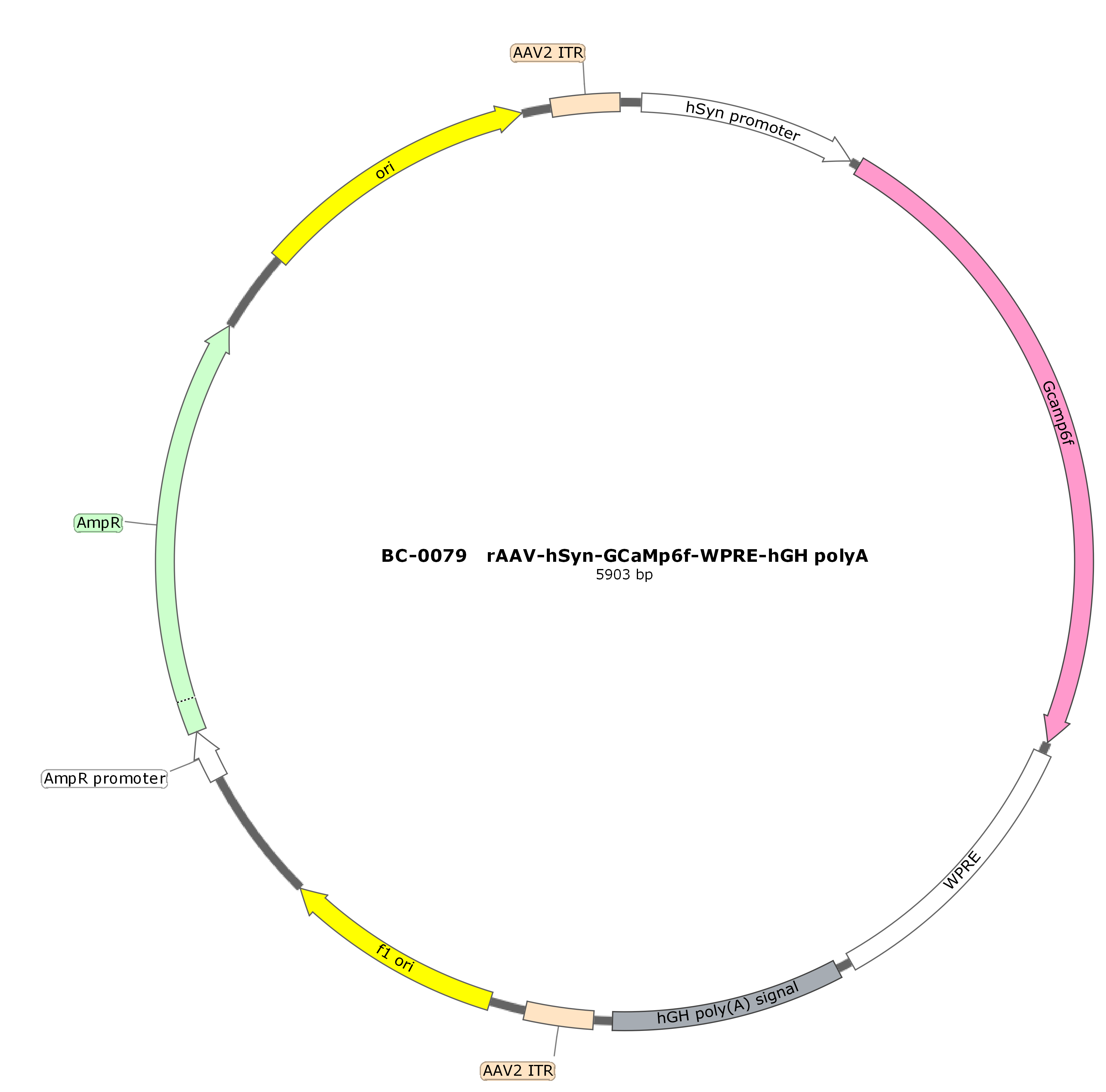 BC-0079  rAAV-hSyn-GCaMP6f （Testing Report attached） 