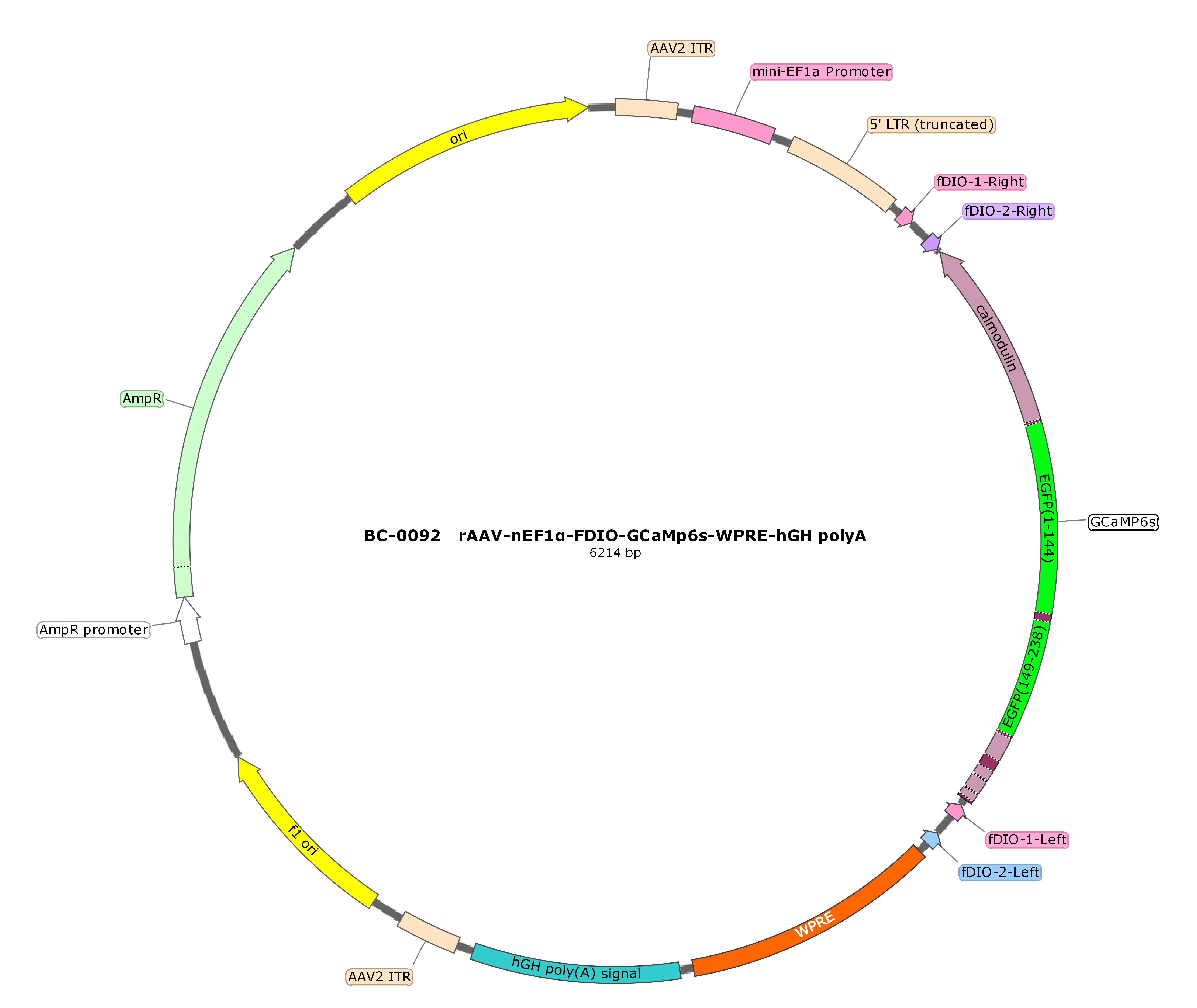 BC-0092  rAAV-nEF1α-FDIO-GCaMP6s  