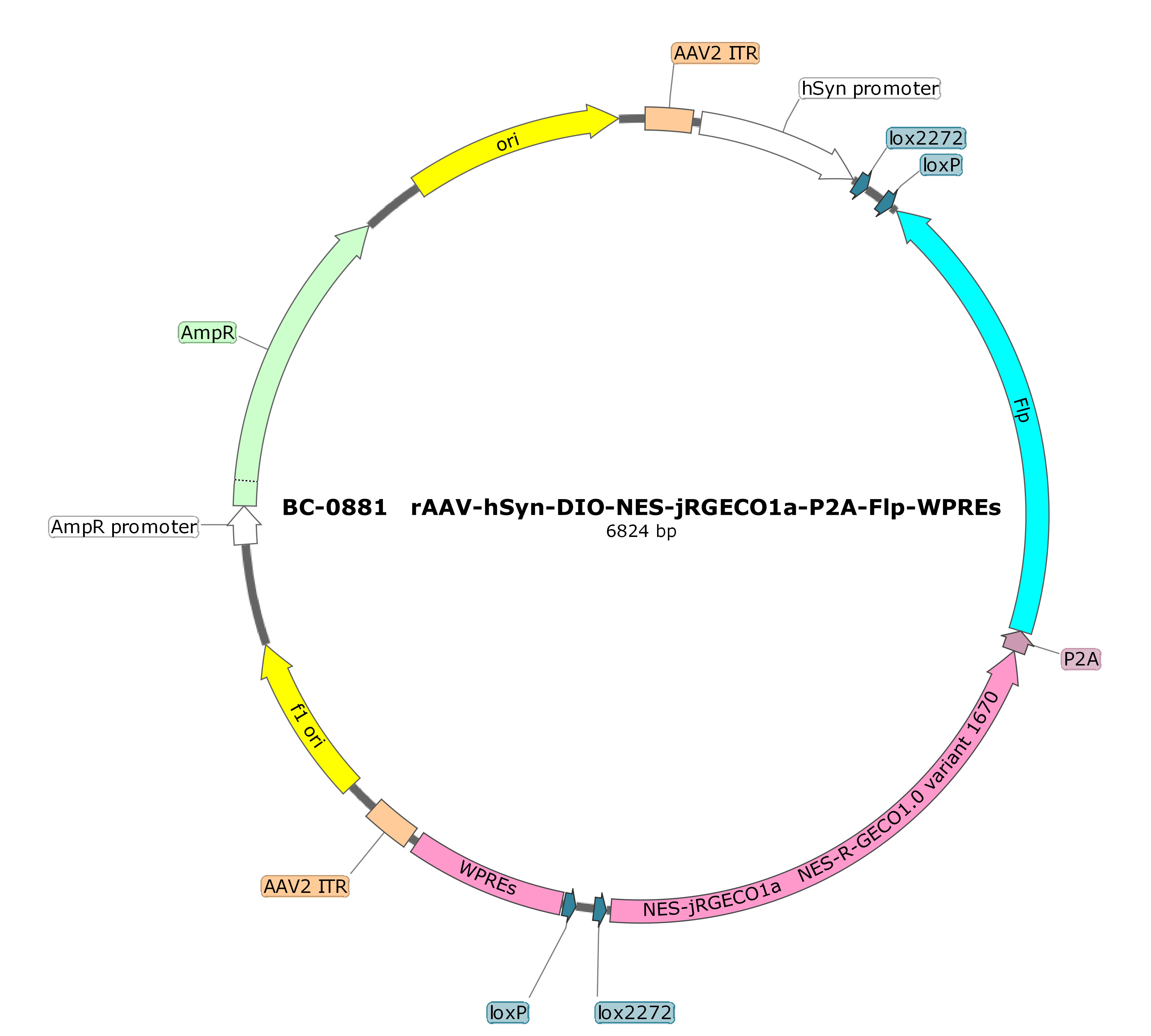 BC-0881  rAAV-hSyn-DIO-NES-jRGECO1a-P2A-Flp