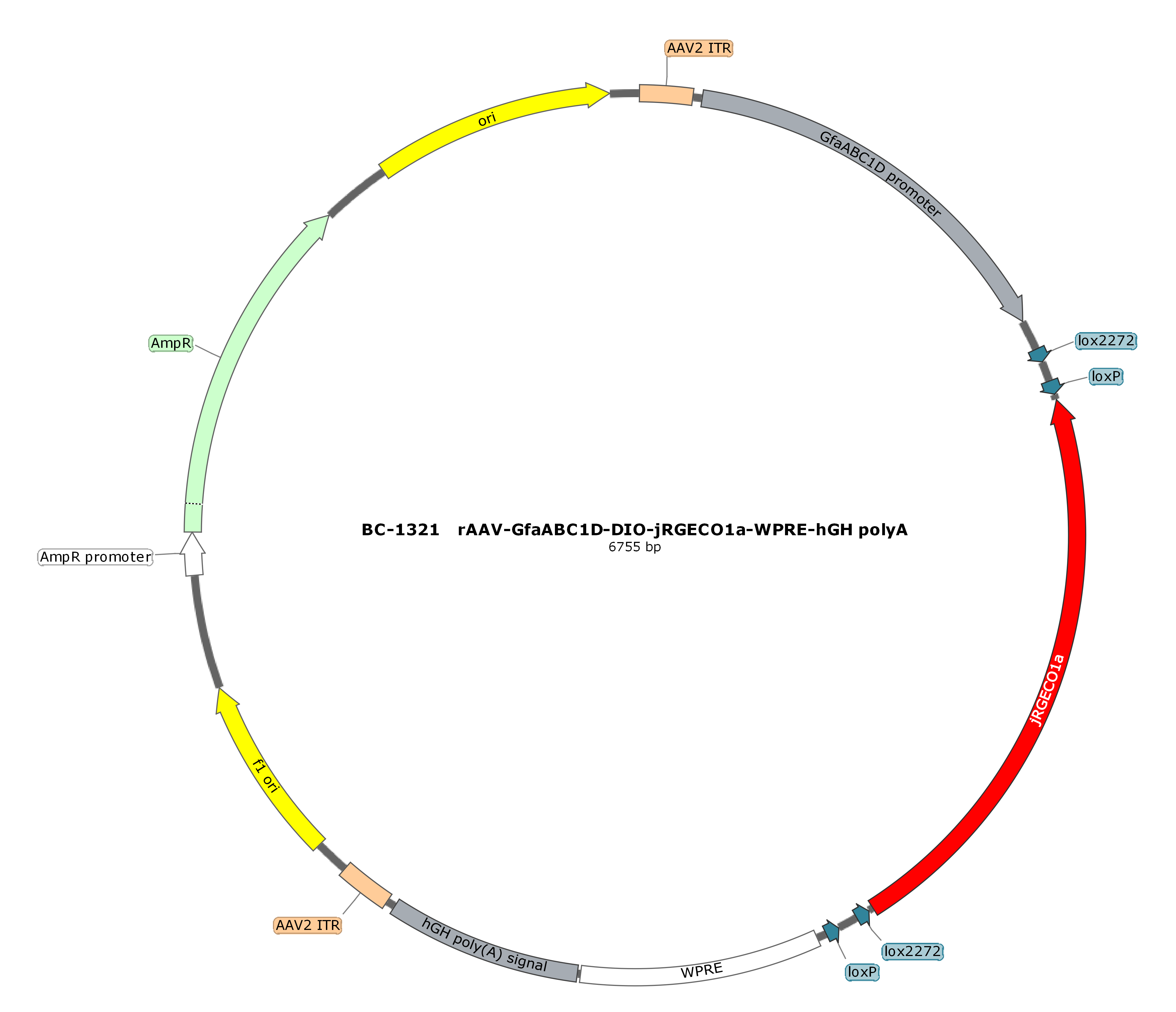 BC-1321  rAAV-GfaABC1D-DIO-jRGECO1a