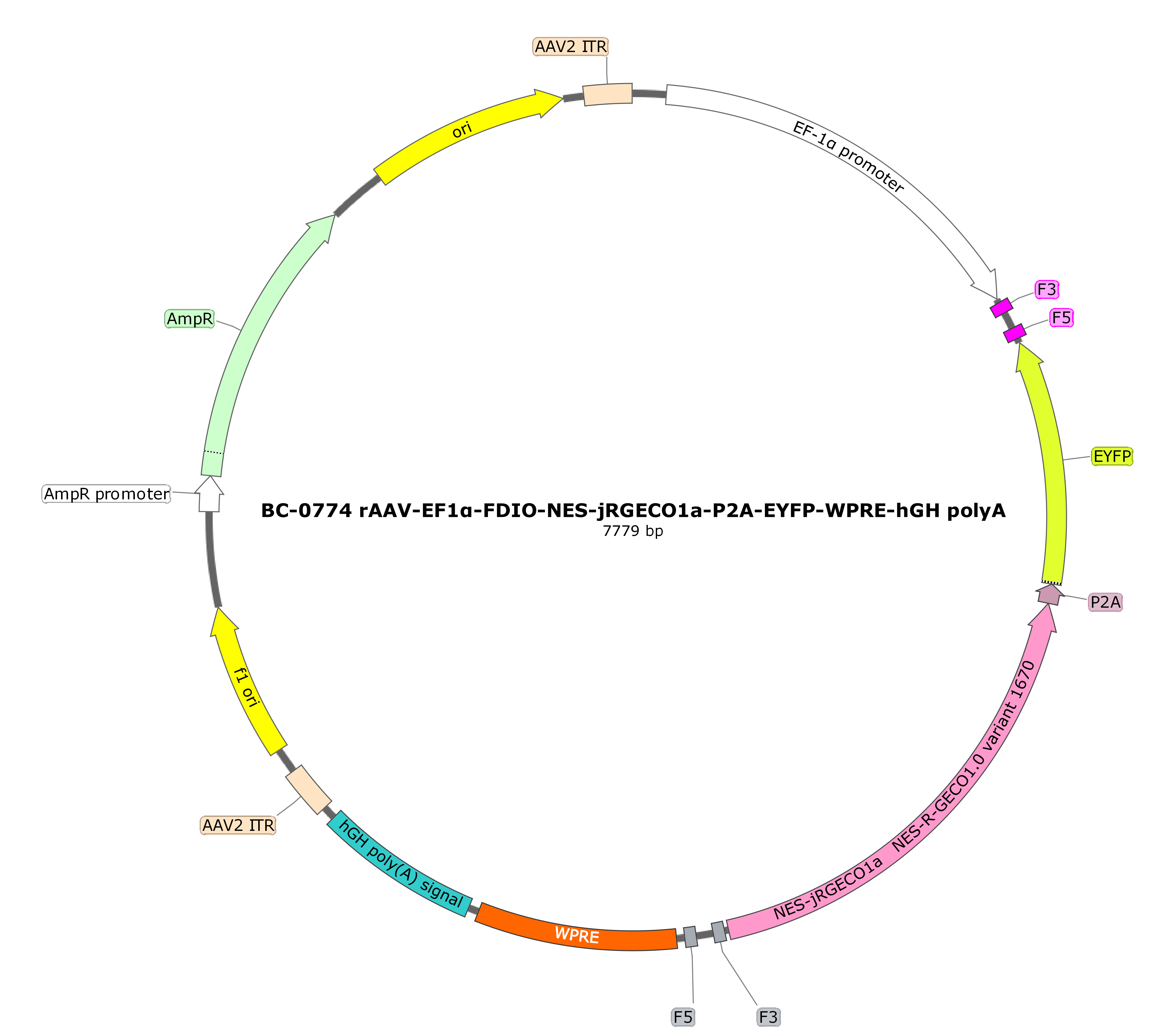 BC-0774  rAAV-EF1α-FDIO-NES-jRGECO1a-P2A-EYFP