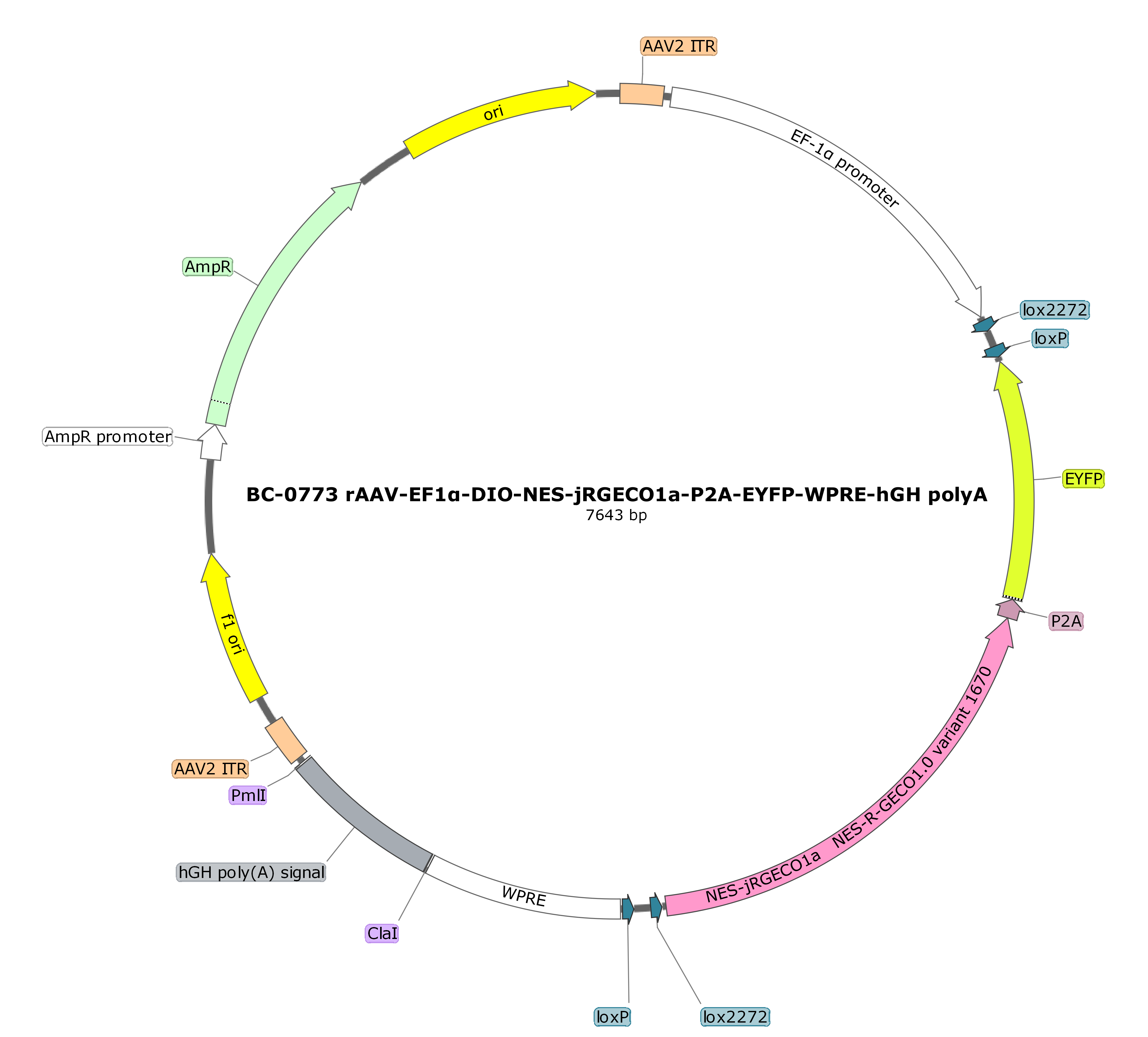 BC-0773  rAAV-EF1α-DIO-NES-jRGECO1a-P2A-EYFP