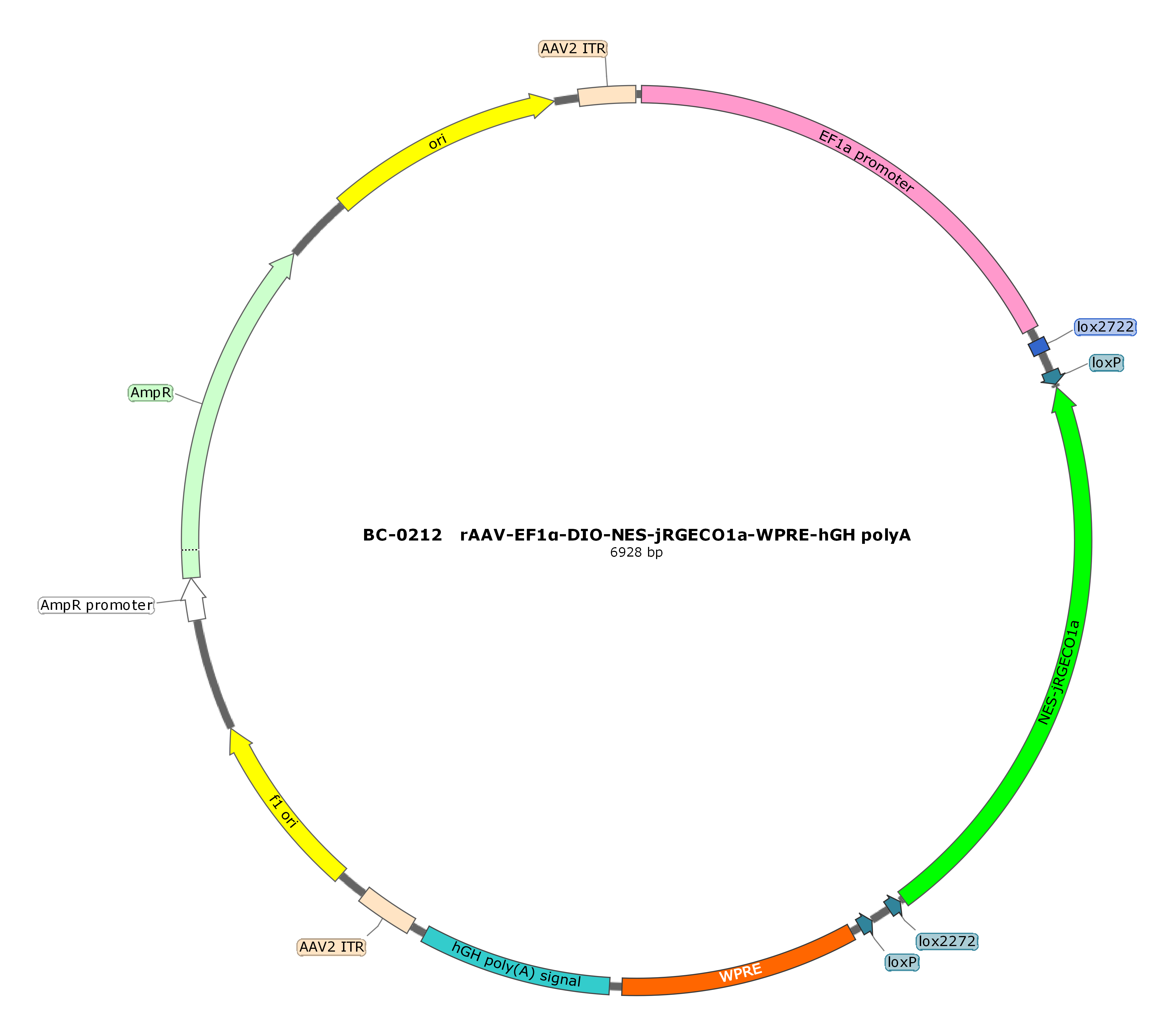 BC-0212  rAAV-EF1α-DIO-NES-jRGECO1a