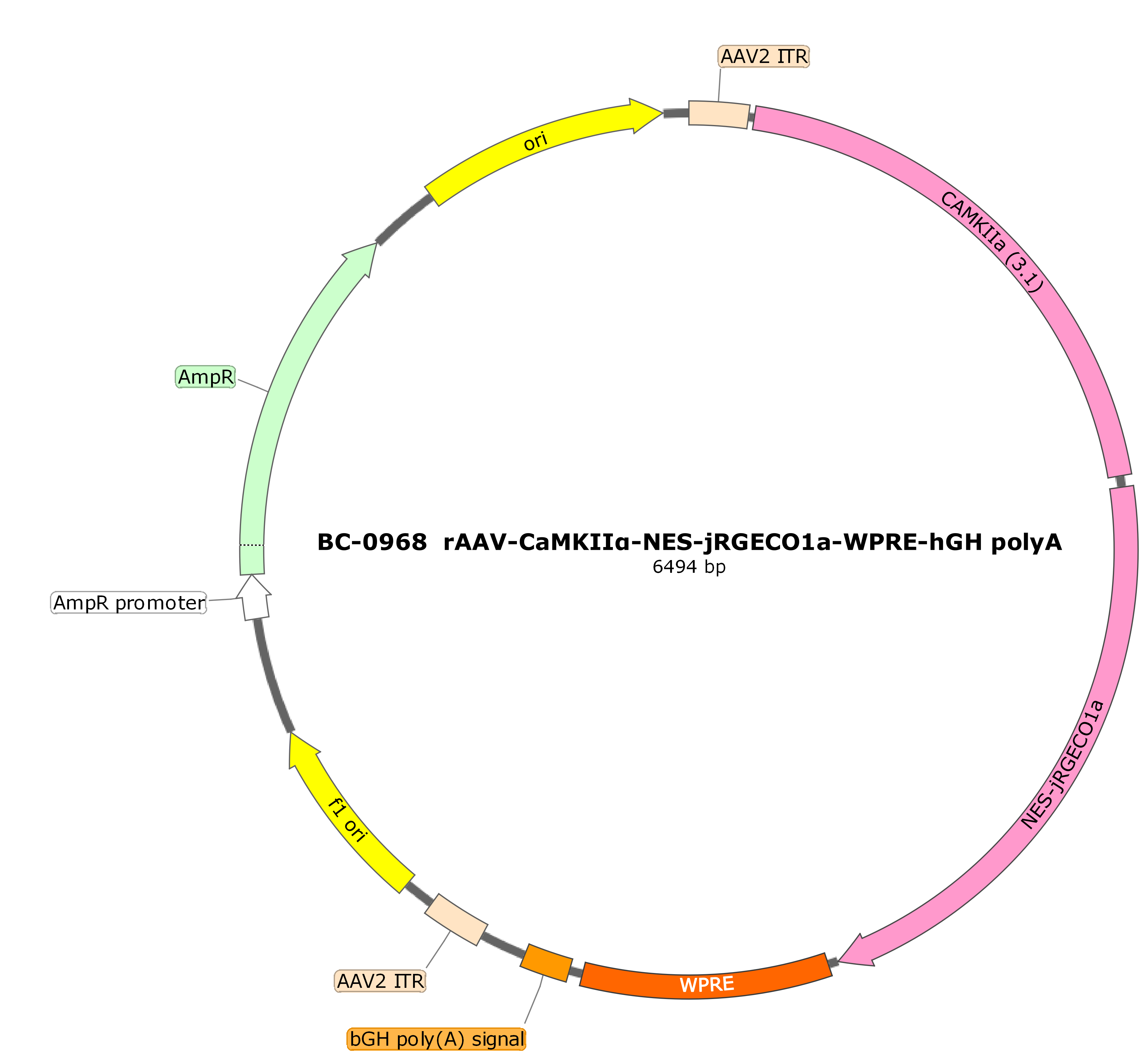 BC-0968  rAAV-CaMKIIα-NES-jRGECO1a（Testing Report attached）