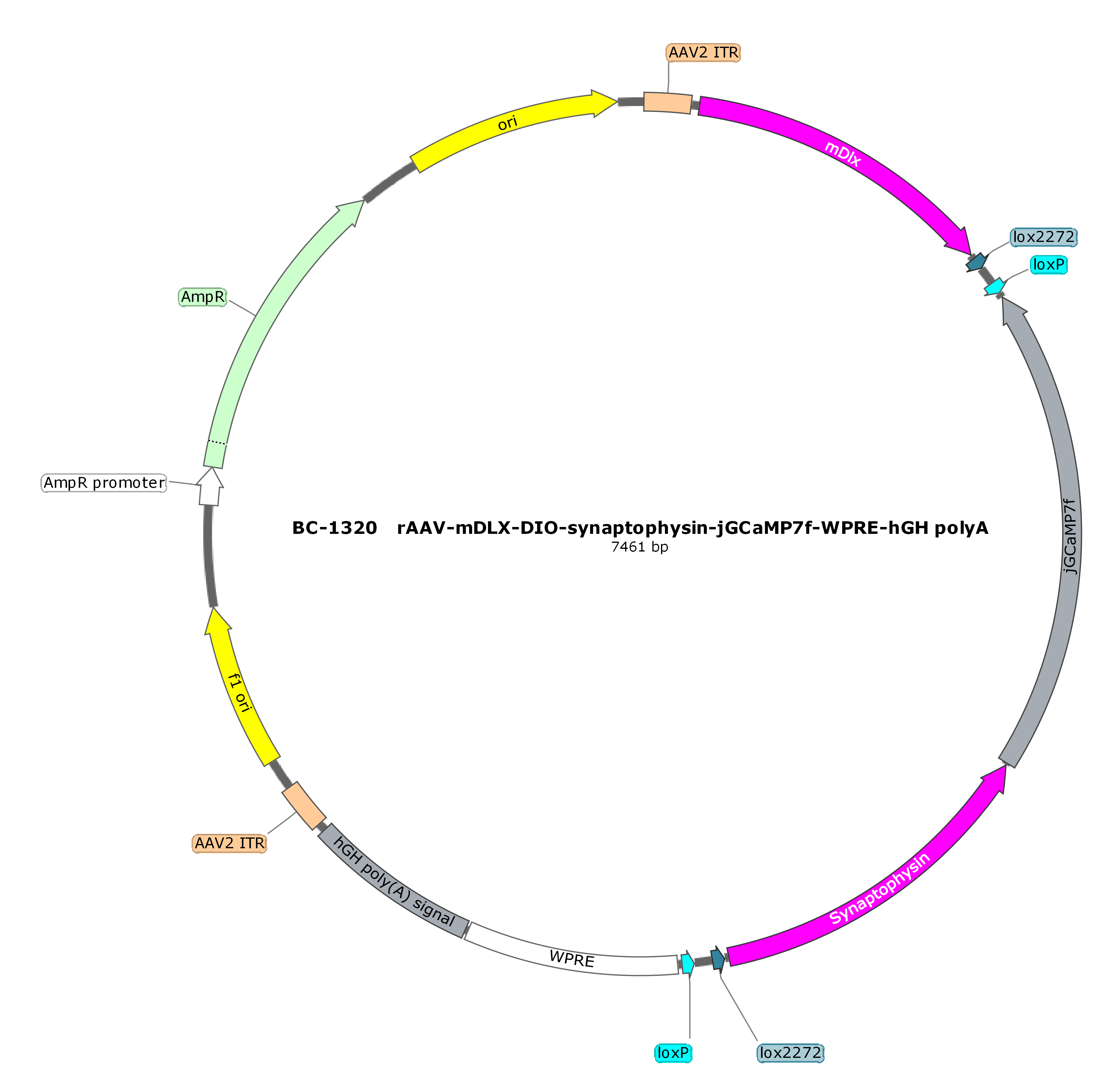 BC-1320  rAAV-mDlx-DIO-Synaptophysin-jGCaMP7f