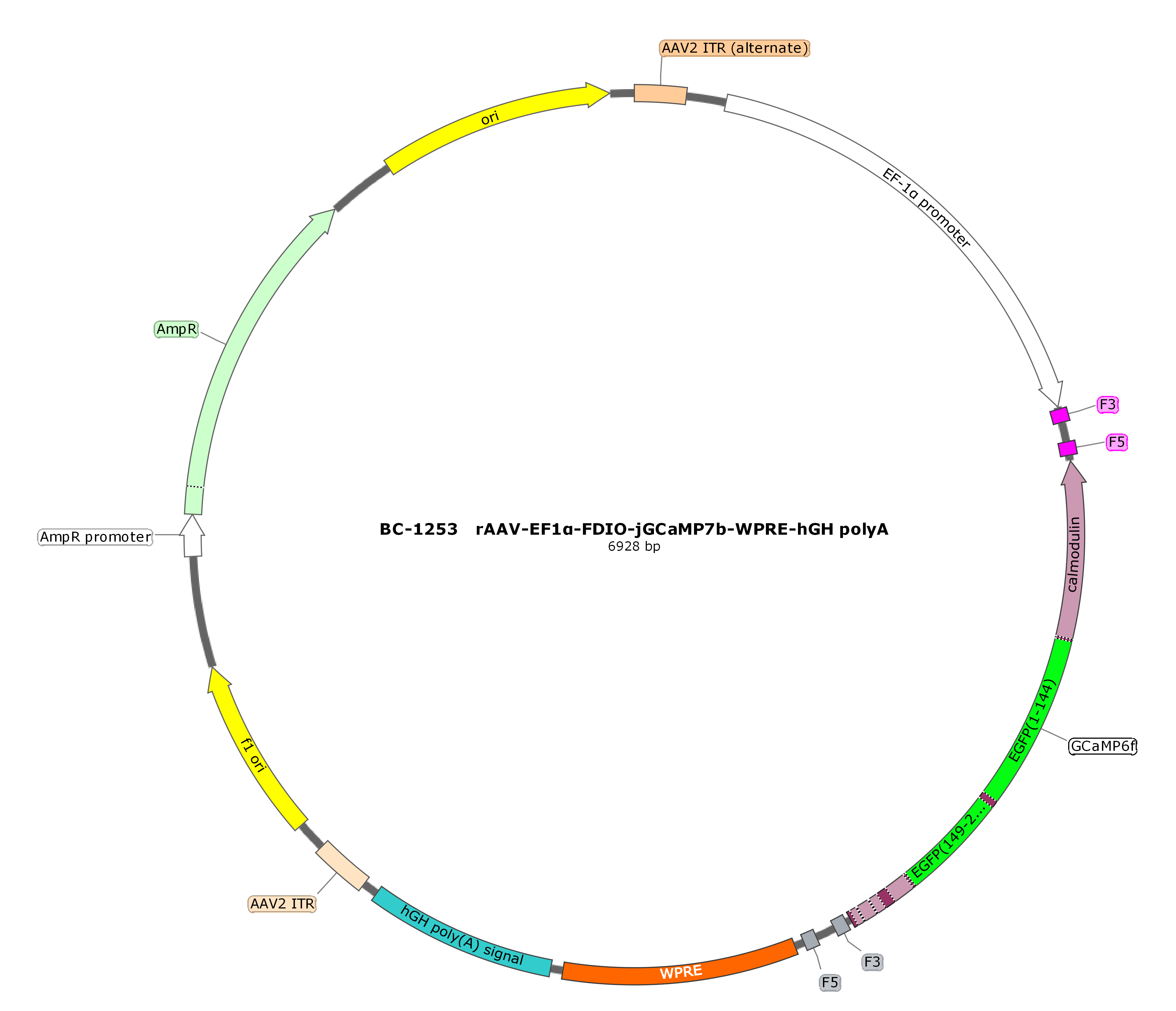 BC-1253  rAAV-EF1α-FDIO-jGCaMP7b （Testing Report attached） 