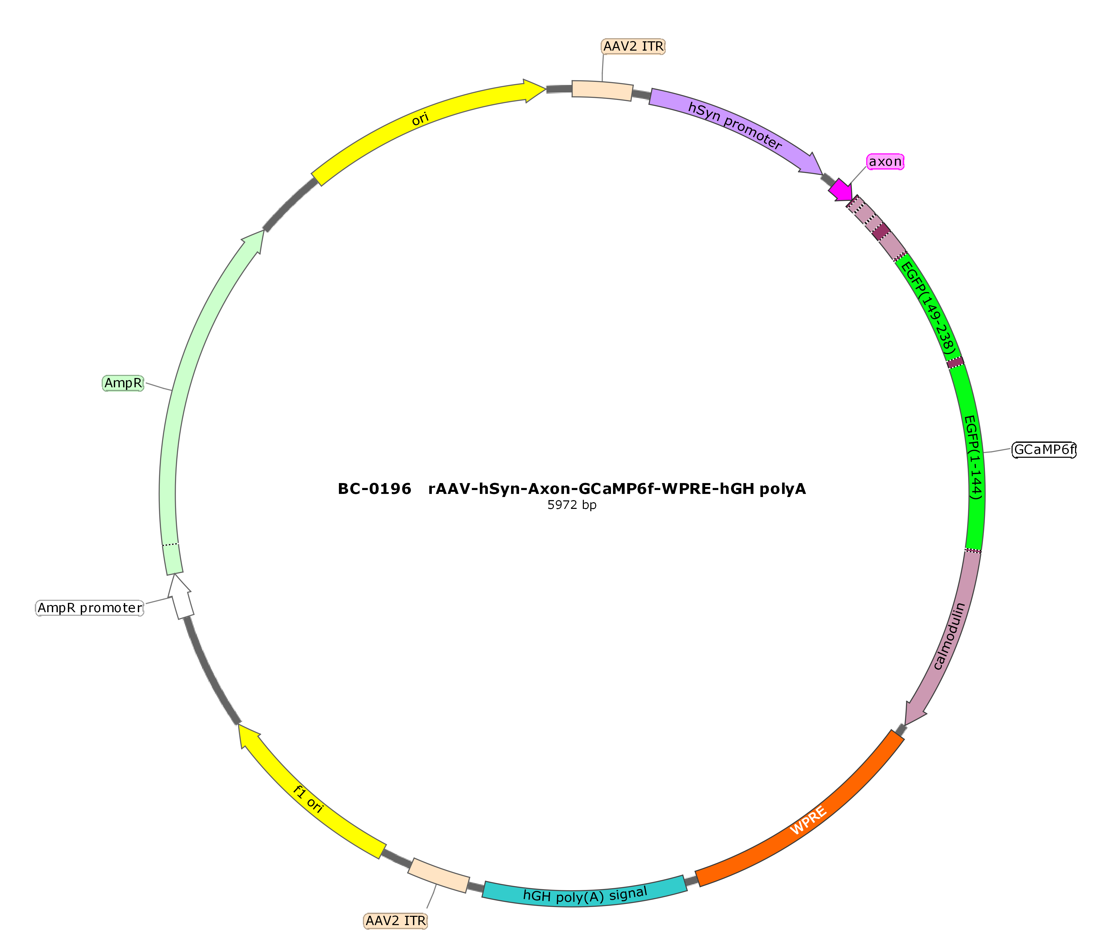 BC-0196  rAAV-hSyn-Axon-GCaMP6f  