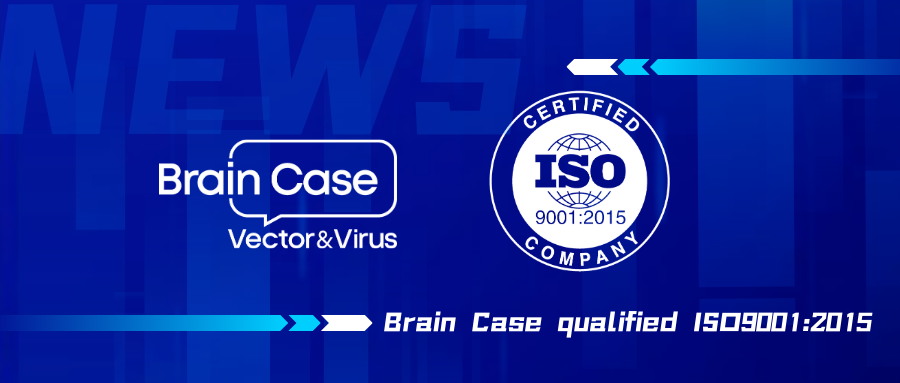  Good News ｜Brain Case qualified ISO9001:2015 certification