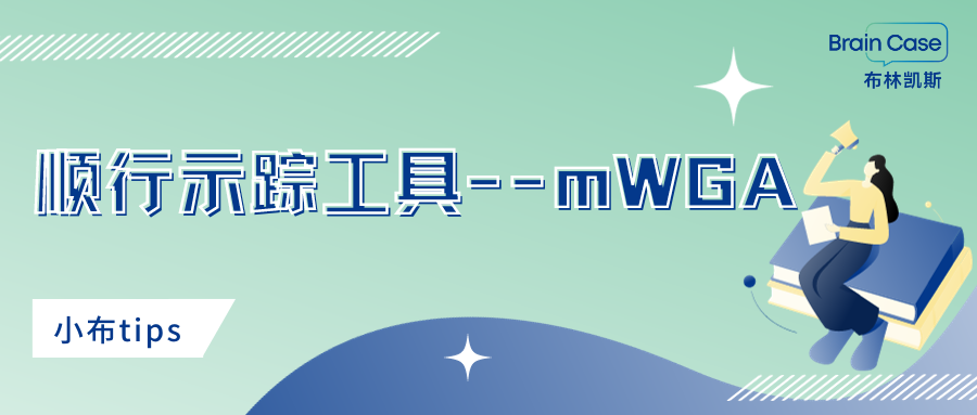 小布Tips | 顺行示踪工具-- mWGA