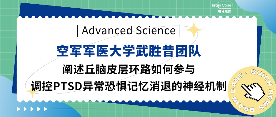 客户文章 | 丘脑皮层环路如何参与调控PTSD异常恐惧记忆消退的神经机制