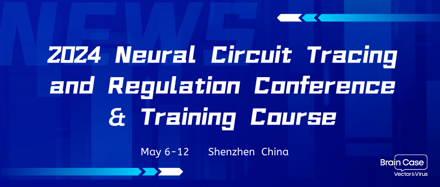 Brain Case sponsored  2024 Neural Circuit Tracing and Regulation Conference & Training Course