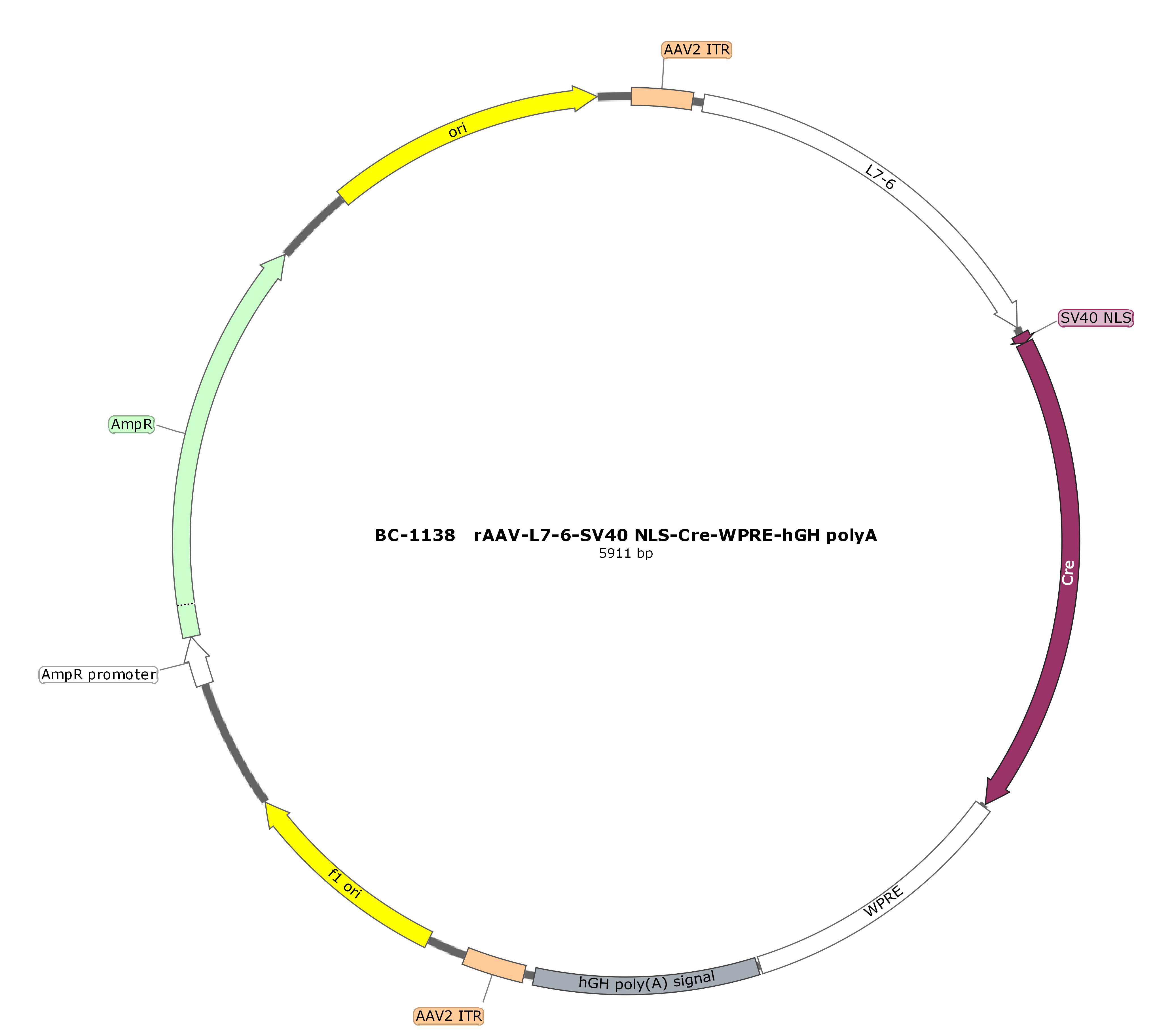 BC-1138 rAAV-L7-6-SV40 NLS-Cre  