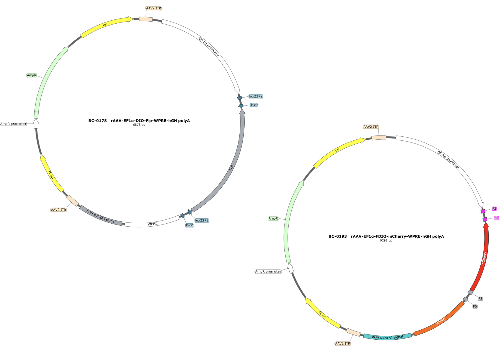 BC-SL005 CSSP-RFP-8E3