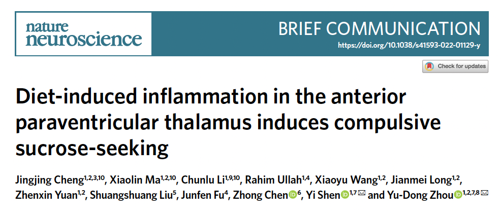 Customer Article｜Diet-induced inflammation in the anterior paraventricular thalamus induces compuls