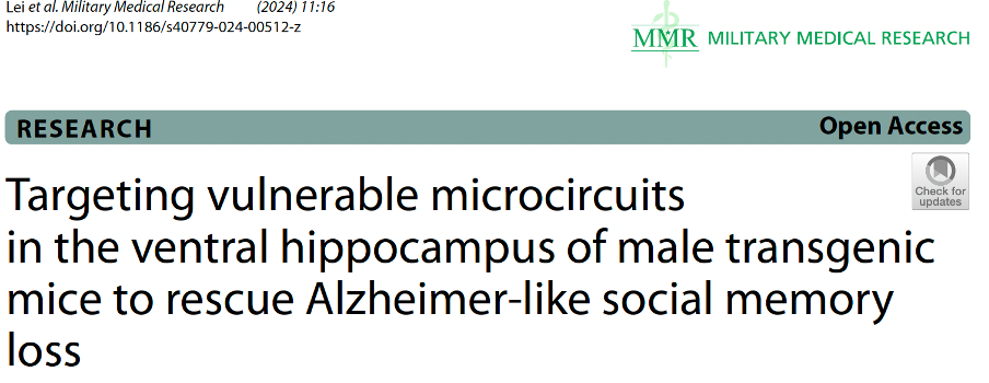 Customer Article｜Targeting vulnerable microcircuits in the ventral hippocampus of male transgenic m