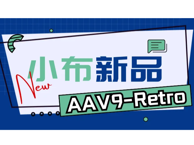 小布新品 | 外周逆向示踪新血清型——AAV9-Retro