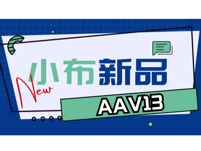 小布新品 | 新型rAAV13突变体介导精准高效原位转导