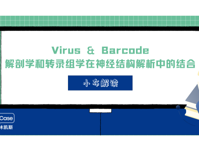 小布解读 | Virus & Barcode-解剖学和转录组学在神经结构解析中的结合