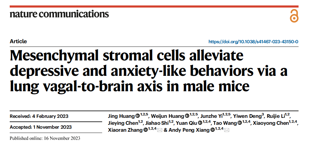 Customer Article｜Mesenchymal stromal cells alleviate depressive and anxiety-like behaviors via a lu