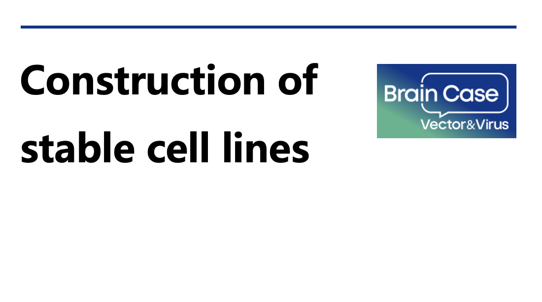 Brain Case’s interpretation | An article to help you understand the construction of stable cell lin