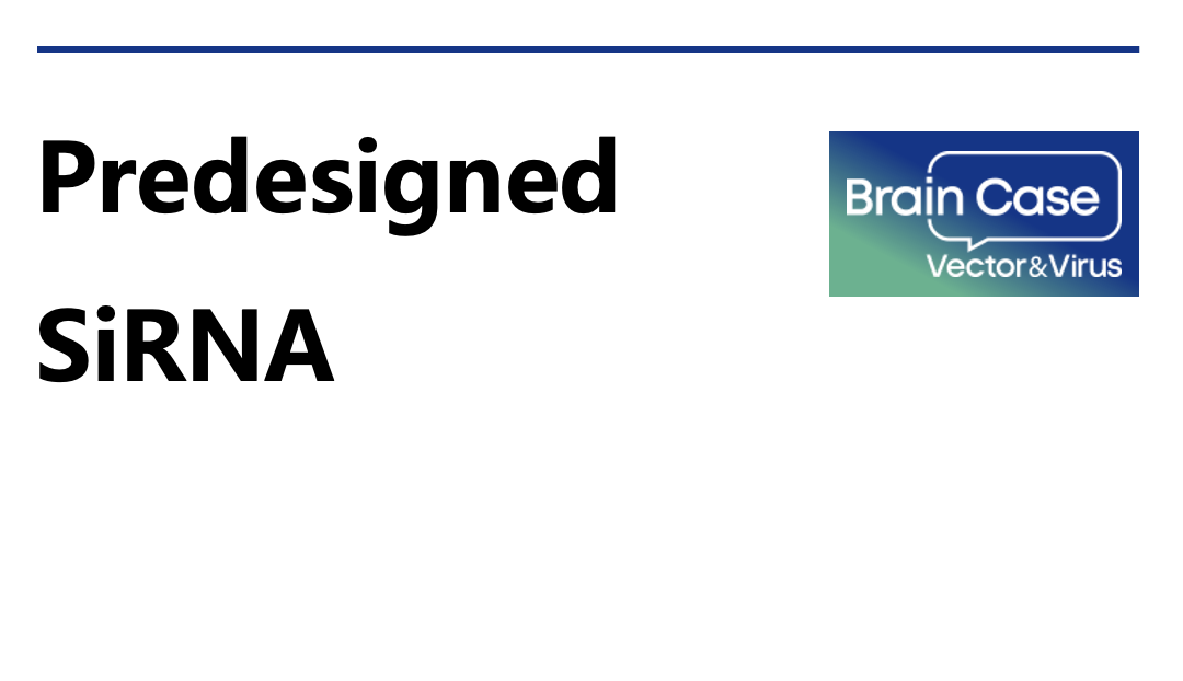 Brain Case’s interpretation | Complete Workflow for Designing shRNA Interference Vectors