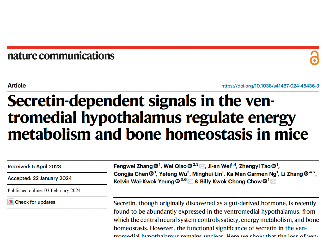 Customer Article｜Secretin-dependent signals in the ventromedial hypothalamus regulate energy metabolism and bone homeostasis in mice