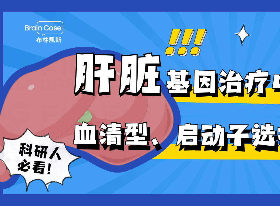 肝脏篇丨AAV在基因治疗中的应用：血清型、启动子选择与注射策略