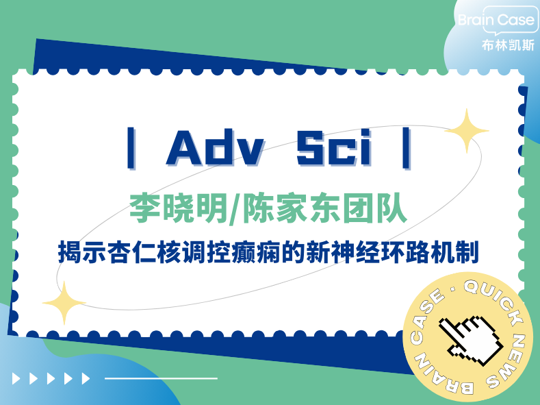 客户文章 | Adv Sci：李晓明/陈家东团队揭示杏仁核调控癫痫的新神经环路机制