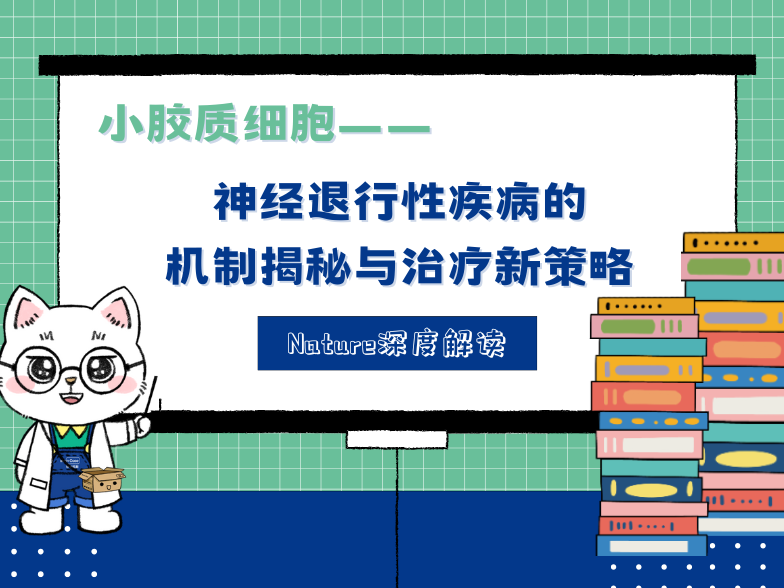 Nature深度解读 | 小胶质细胞：神经退行性疾病的机制揭秘与治疗新策略