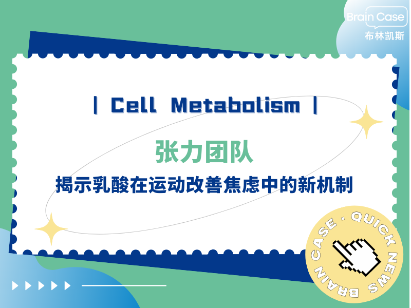 客户文章 | Cell Metabolism | 张力团队揭示乳酸在运动改善焦虑中的新机制