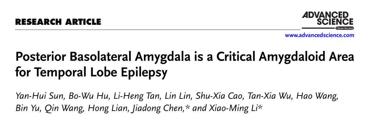 Team of Xiaoming Li /Jiadong Chen Reveals New Neural Circuit Mechanism of Amygdala Regulation in Epilepsy