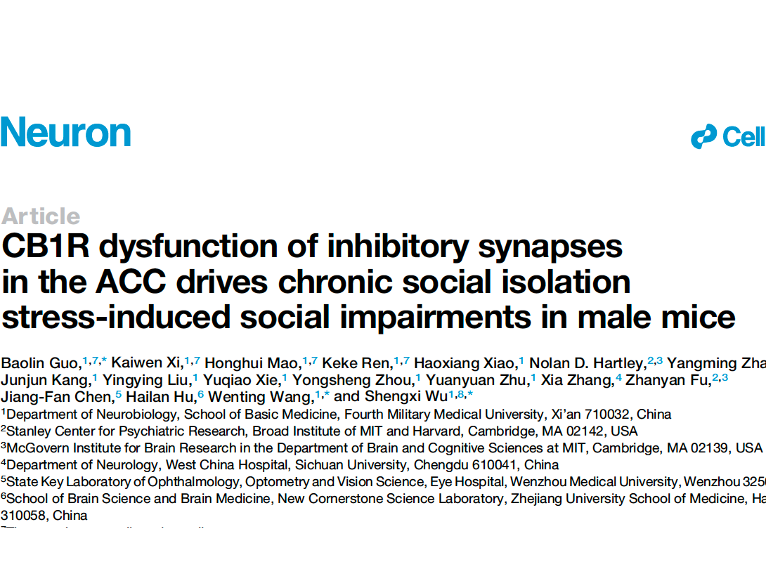 Social impairments induced by chronic social isolation stress