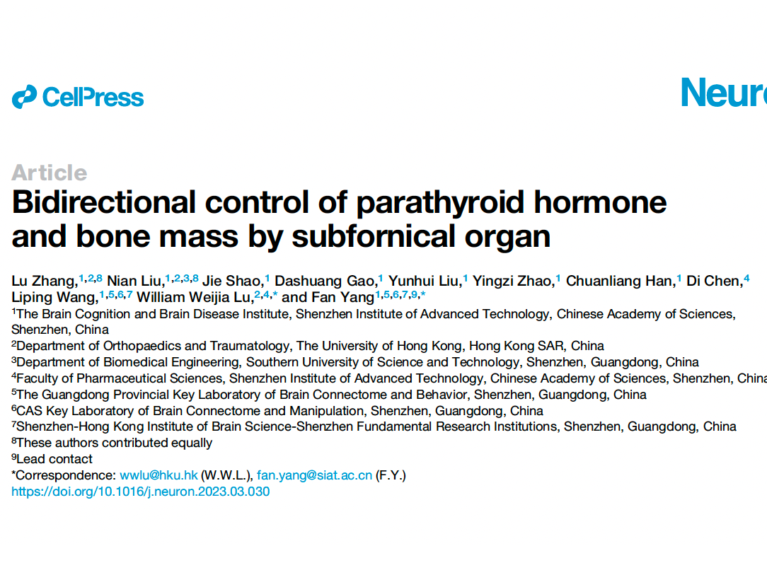 Bidirectional control of parathyroid hormone and bone mass by subfornical organ