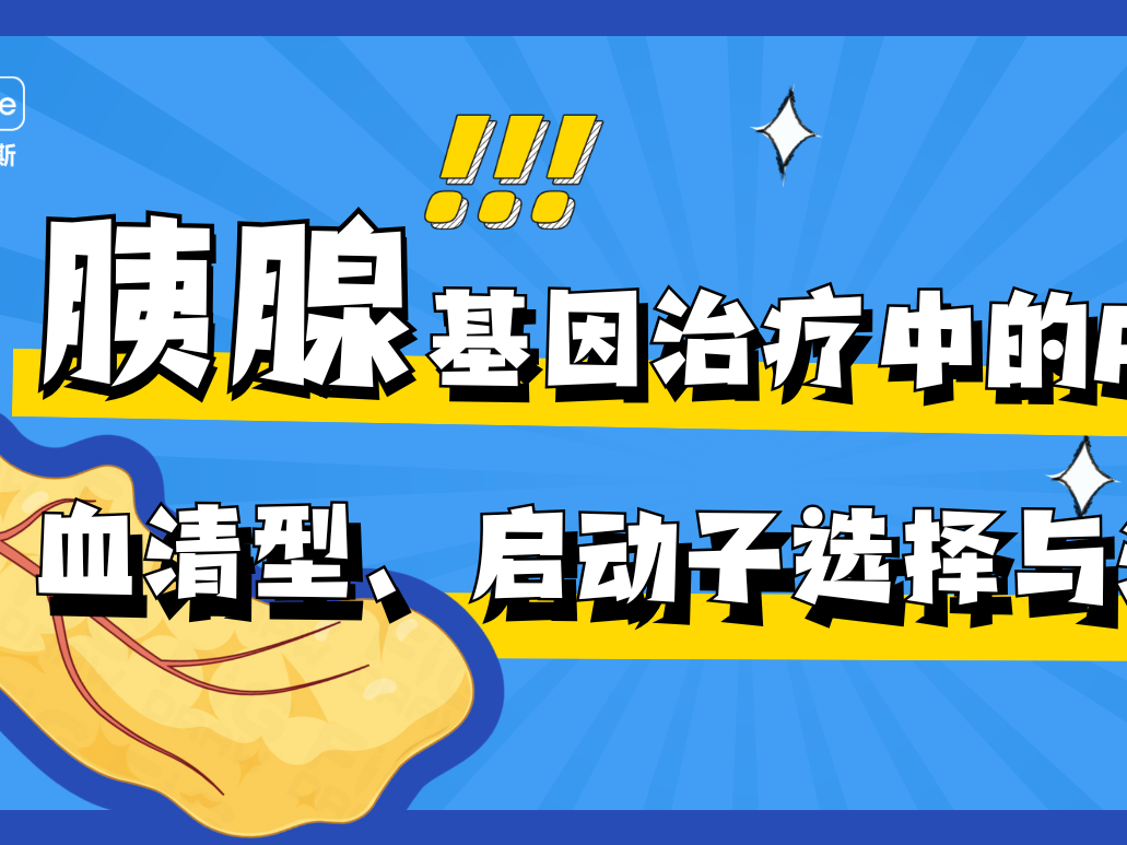 胰腺篇丨AAV在基因治疗中的应用：血清型、启动子选择与注射策略