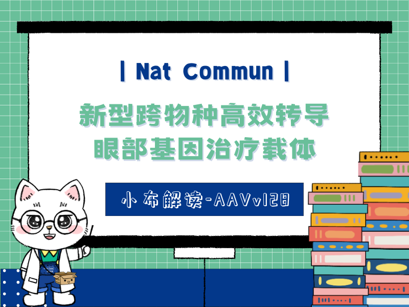 Nat Commun丨新型跨物种高效转导眼部基因治疗载体--AAVv128