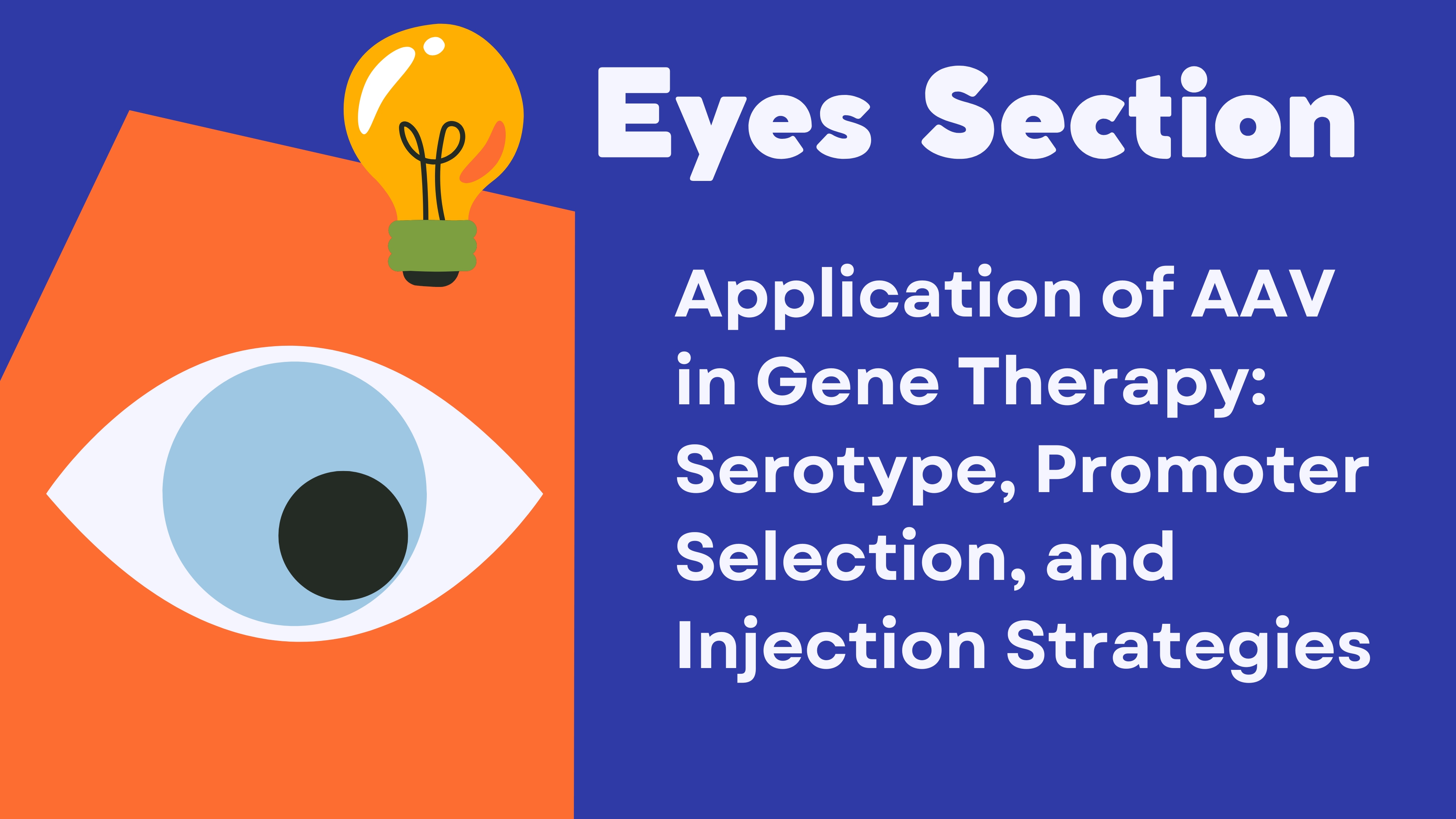 Eyes Section丨Application of AAV in Gene Therapy: Serotype, Promoter Selection, and Injection Strategies