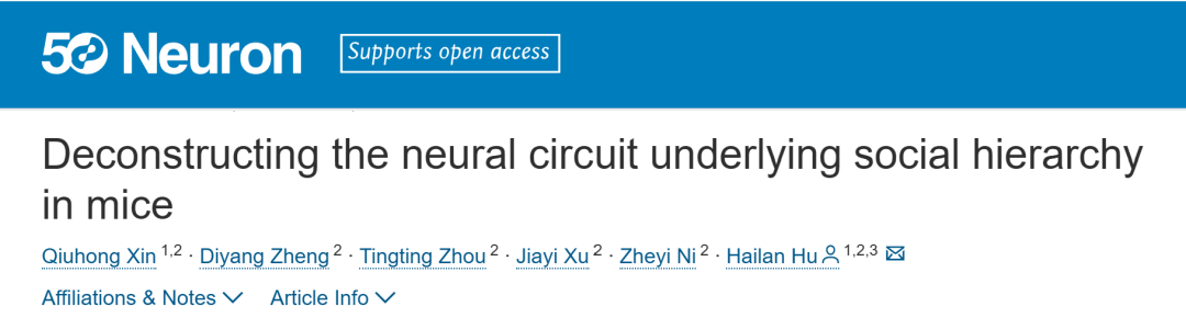 Neuron︱Zhejiang University’s Hailan Hu Team Analyzes the Neural Circuits Behind Social Hierarchy in Mice