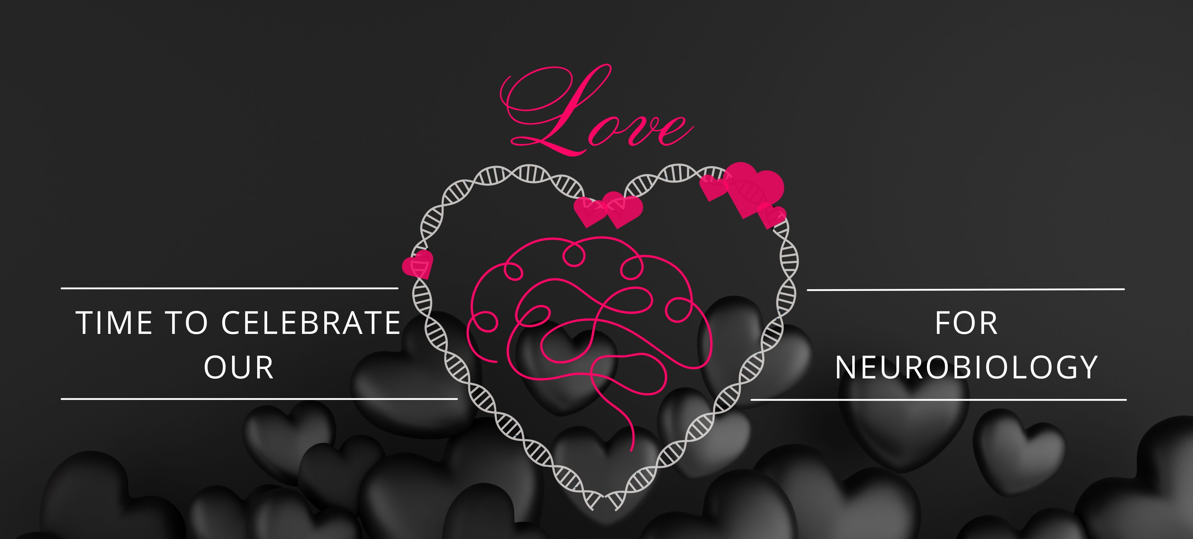 Valentine's day, Brain and Neurobiology