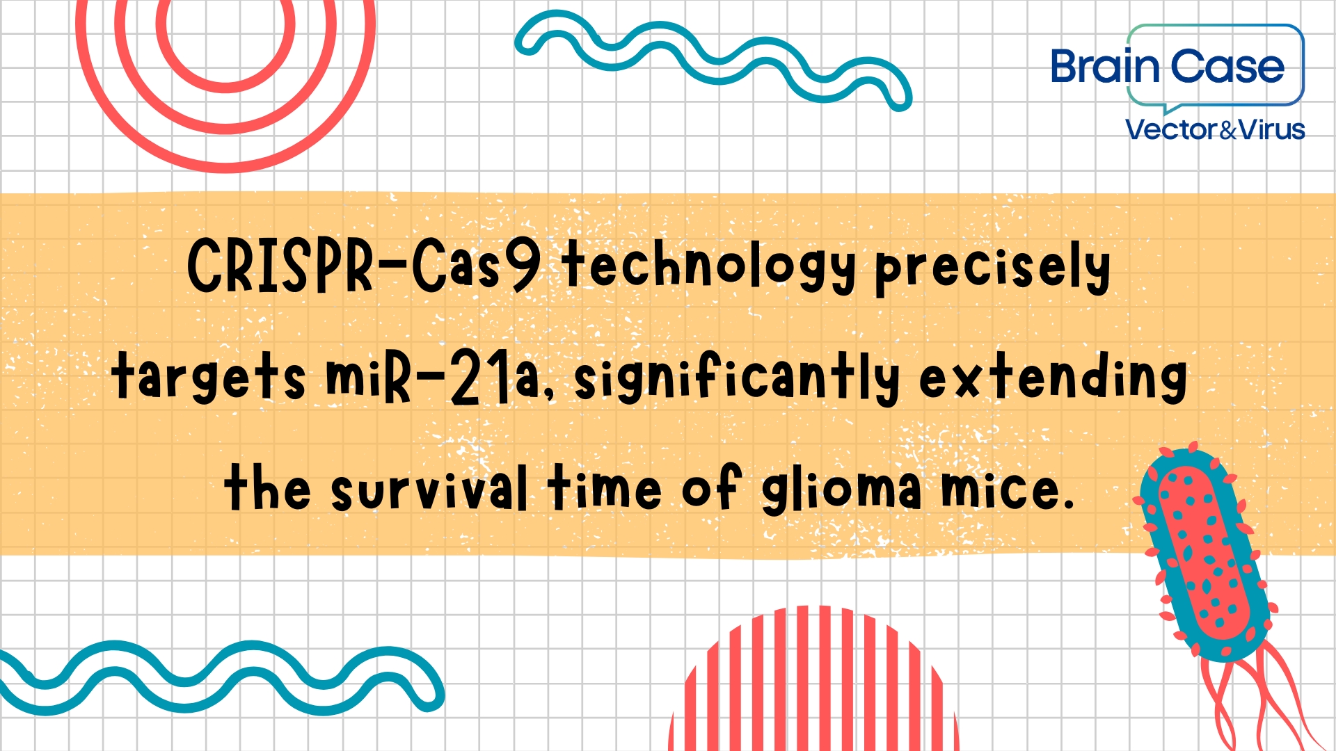 Mol. Ther. | CRISPR-Cas9 technology precisely targets miR-21a, significantly extending the survival time of glioma mice.