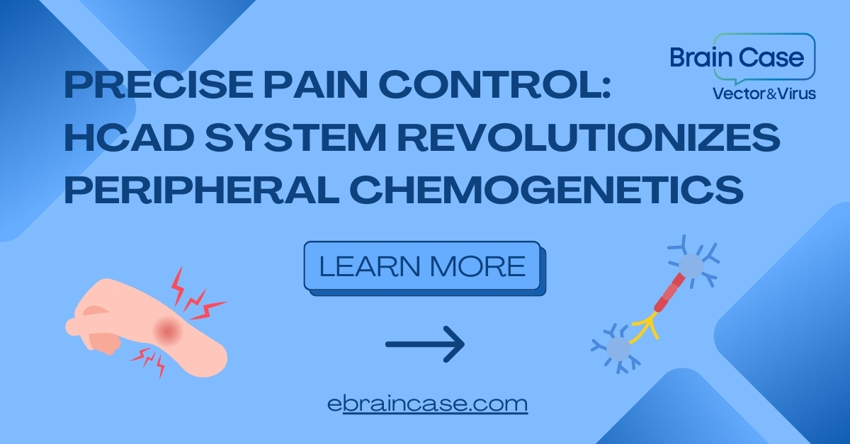 Cell︱Precise Pain Control: HCAD System Revolutionizes Peripheral Chemogenetics