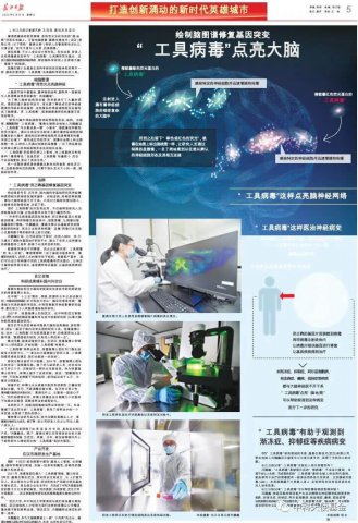 BC News | Changjiang Daily's Special Report - Virus Toolkit lights up the brain!