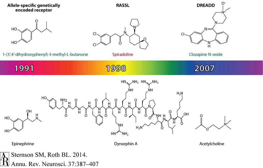 Chemical Genetics - Chemical Genetic Engineering - BrainCase