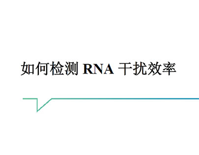 如何检测RNA干扰效率