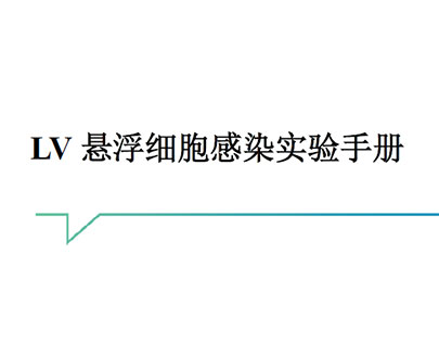 LV悬浮细胞感染实验手册